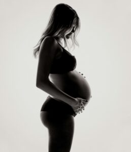 reproduction silhouette of pregnant woman