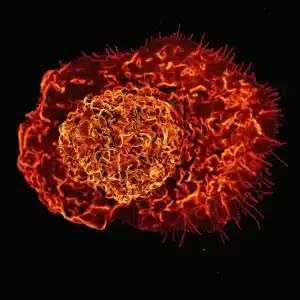 picture of immunity cell - macrophage