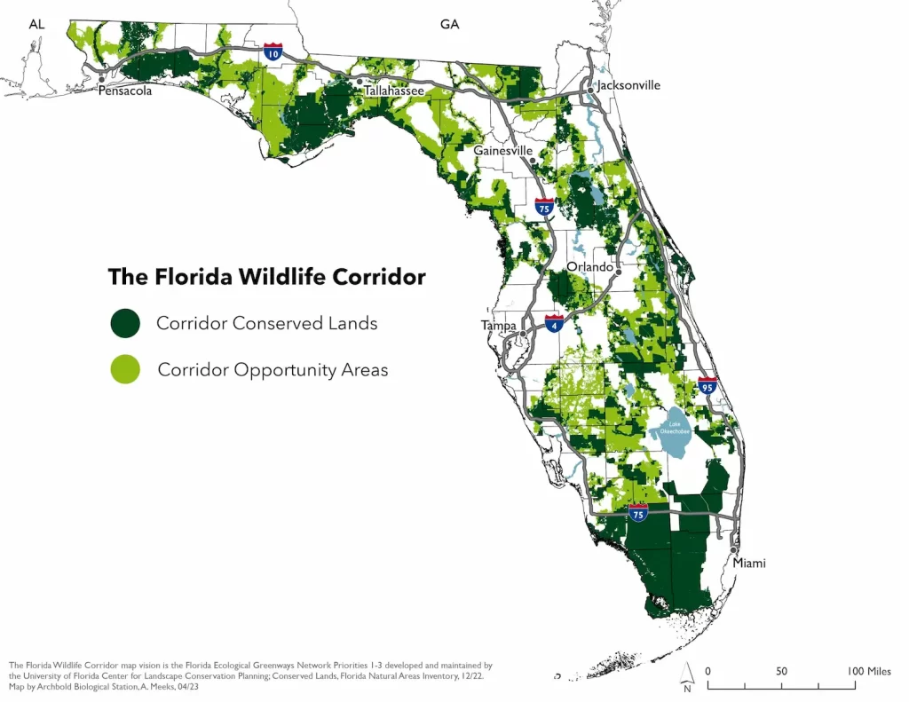 Un mapa de Florida destaca el corredor de vida silvestre, con el verde oscuro como símbolo de las tierras conservadas y el verde claro como símbolo de las áreas de oportunidad. Las principales ciudades y autopistas interestatales están marcadas, lo que enfatiza la resiliencia de la región en medio del cambio climático.