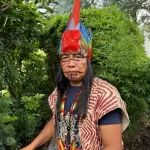 Una persona está sentada al aire libre, con un tocado de plumas de colores vivos, un collar de cuentas de colores y ropa con estampados tradicionales. Su rostro está adornado con intrincados diseños pintados. Está rodeada de una exuberante vegetación.