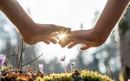 Dos manos que se extienden una hacia la otra mientras la luz del sol se filtra a través del hueco, sobre una zona de musgo y pequeñas flores violetas. El fondo está suavemente difuminado, lo que crea una atmósfera serena y pacífica.