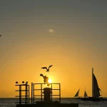 Florida Keys sunset over pier