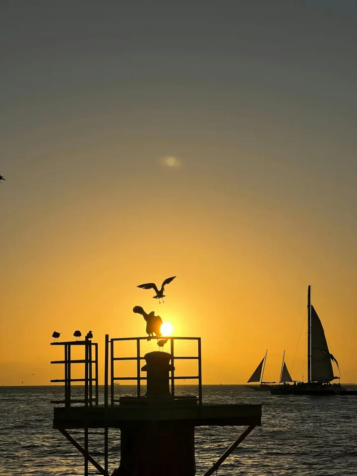 Florida Keys sunset over pier