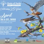 Afiche ilustrado para el Festival de Arte Chain of Parks en Tallahassee, Florida. Presenta dos pájaros, una mariposa y flores amarillas. El texto incluye detalles del evento del 26 al 27 de abril de 2025 y destaca las actividades y los patrocinadores.