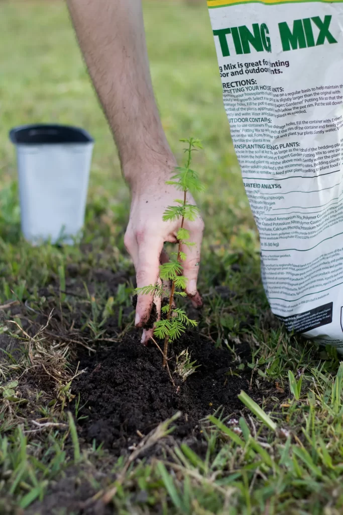 La mano de una persona está plantando un pequeño plantón en tierra al aire libre, con una bolsa de sustrato para macetas y una maceta de plástico vacía cerca, sobre la hierba.