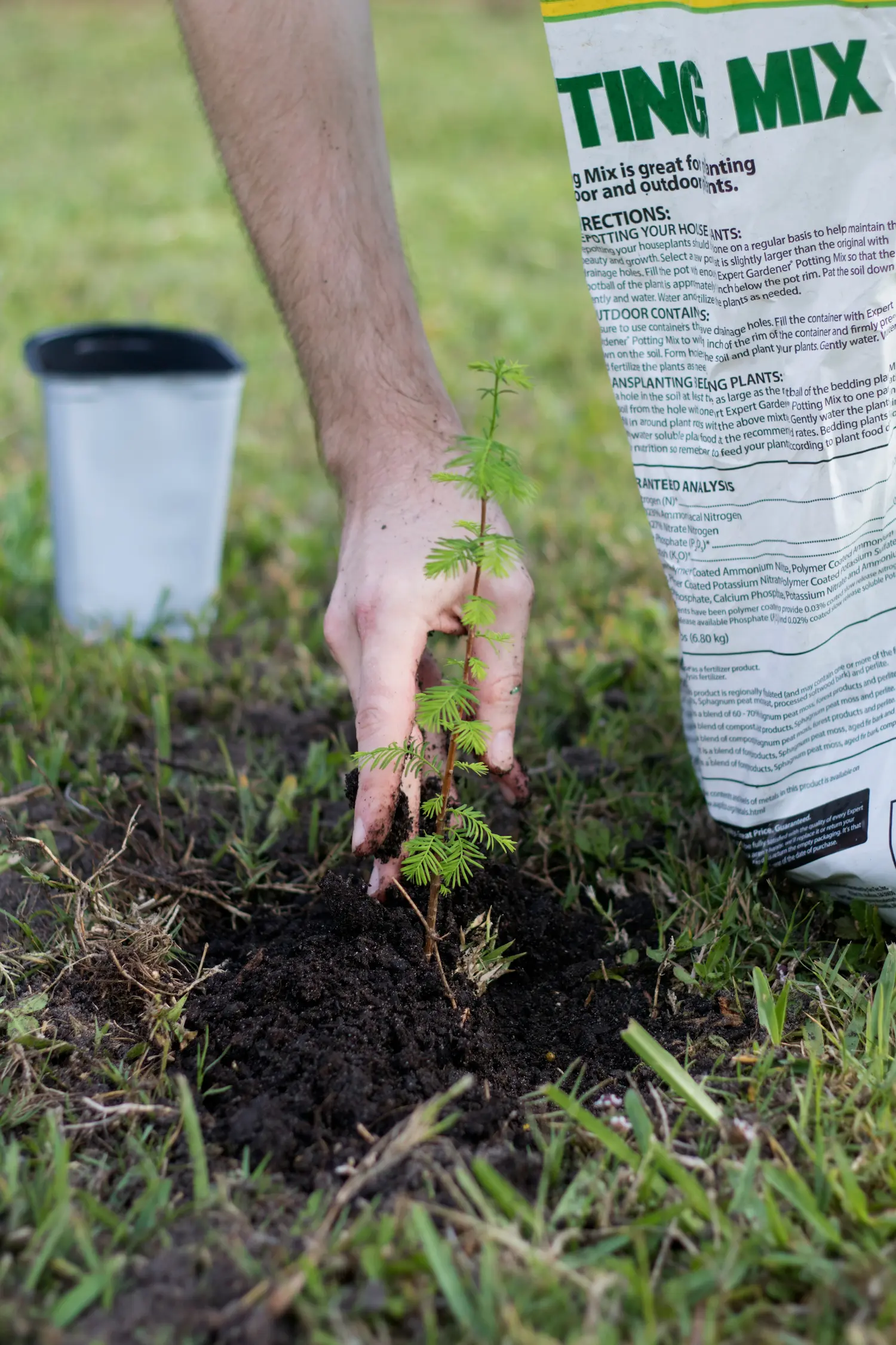 A person’s hand is planting a small tree seedling in soil on grass during the Adopt a Tree event in Miami-Dade County, with a bag of potting mix and an empty plant pot nearby.