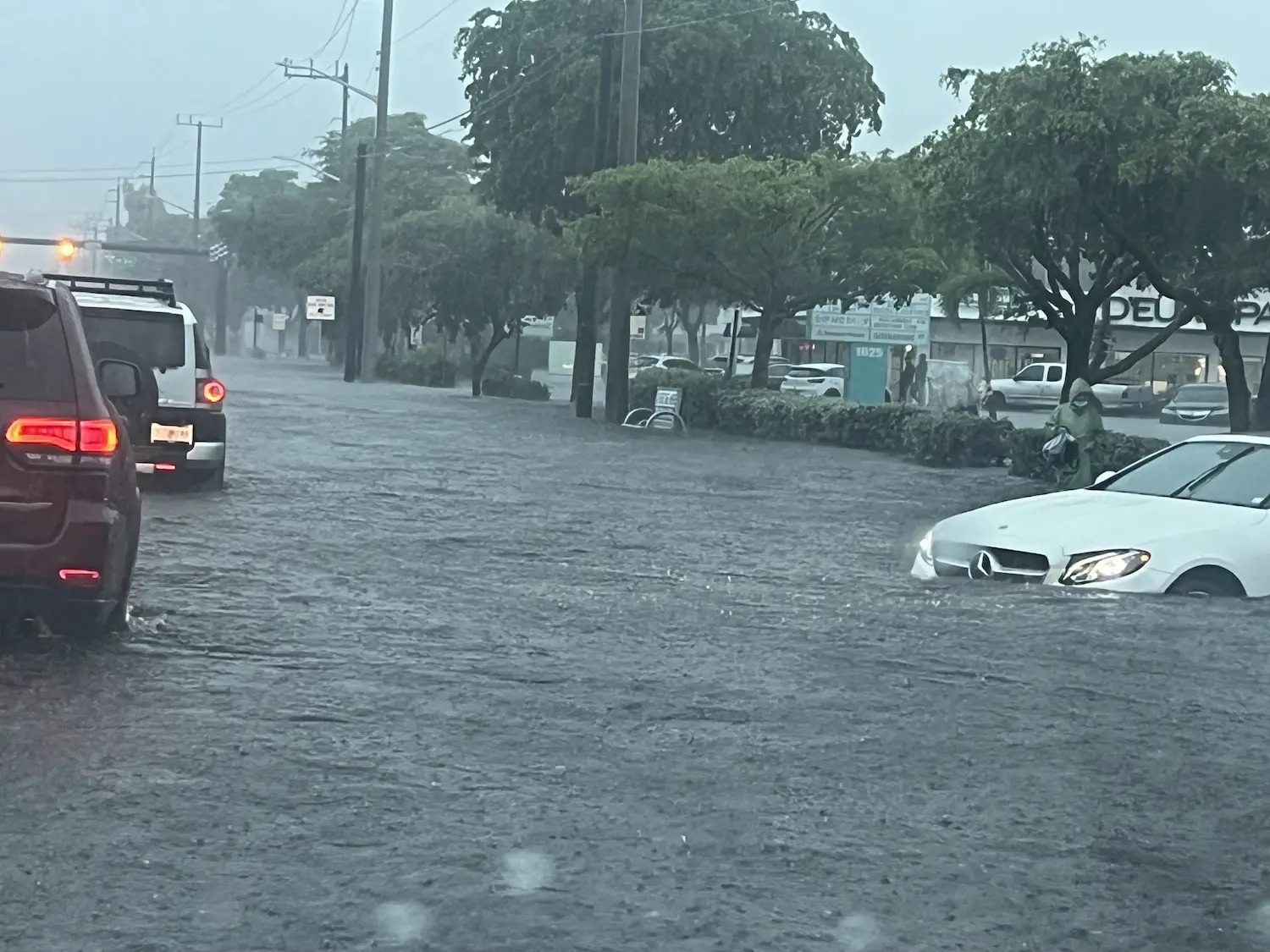 Cars drive through a heavily flooded street during a rainstorm, with water reaching nearly halfway up the tires. Trees and buildings line the road, and visibility is reduced due to the rain.