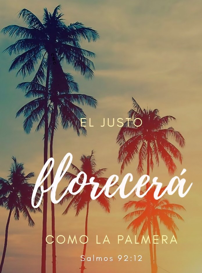 Silhouettes of tall palm trees at sunset with Spanish text: "El justo florecerá como la Palm Tree. Salmos 92:12" in white cursive and capital letters.