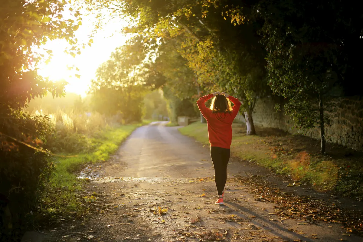 A person in a red sweatshirt walks alone on a tree-lined path at sunset, with sunlight streaming through the branches and fallen leaves scattered on the ground.