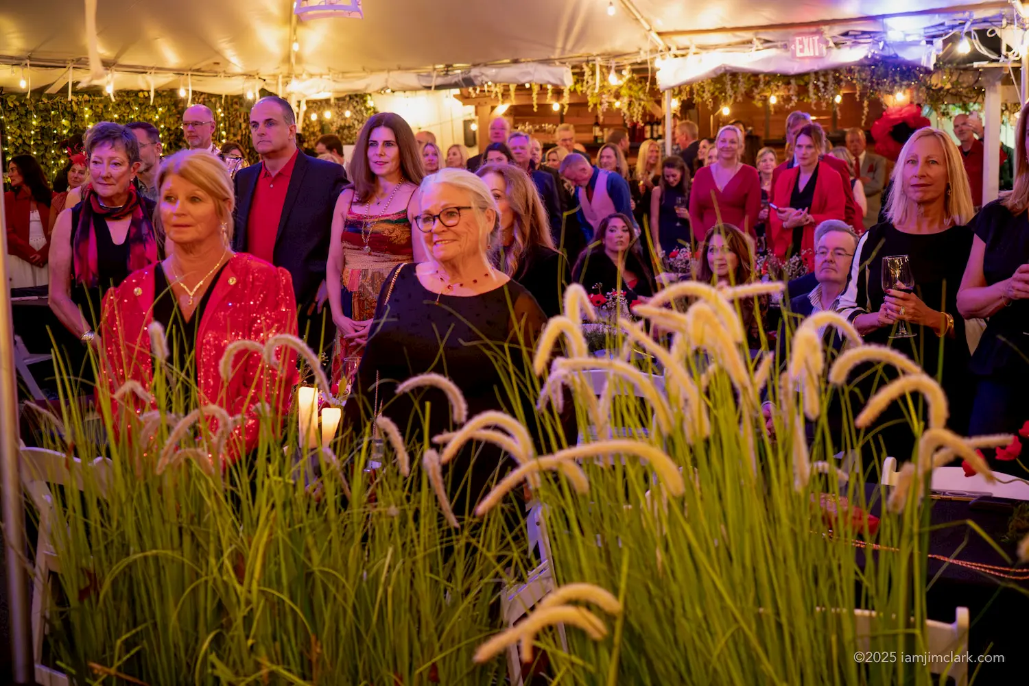 A group of people dressed in formal attire sit and stand under a tent decorated with string lights and greenery, attentively watching something out of view. Tall grass is visible in the foreground.
