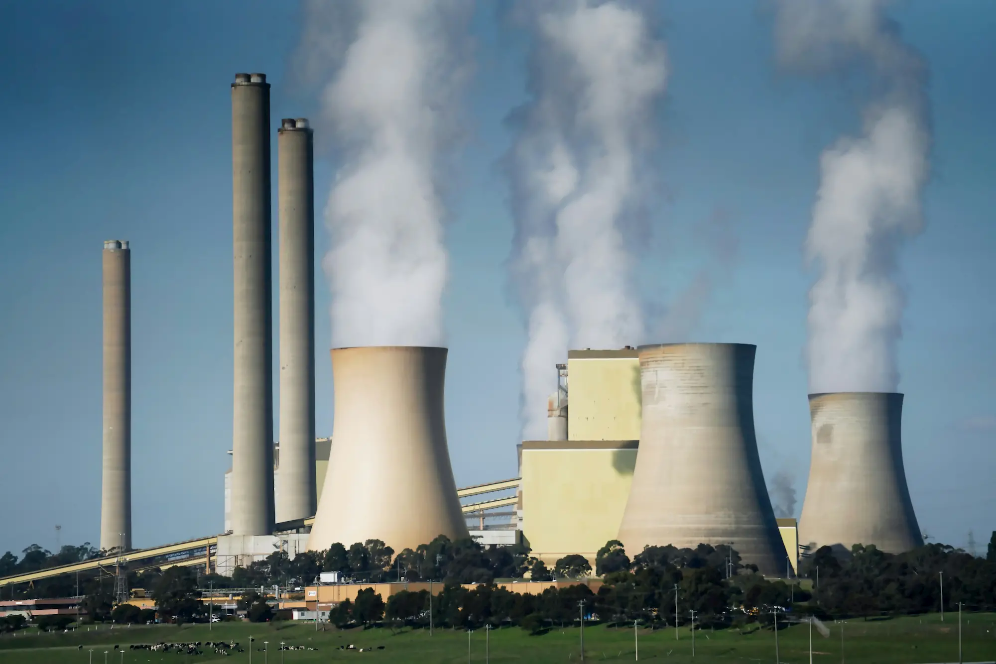 A power plant with large cooling towers and smokestacks releases white steam into the sky. Surrounded by green grass and trees under clear blue skies, this Florida facility exemplifies new federal shift in greenhouse gas regulation.